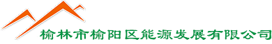 銅陵化工集團(tuán)新橋礦業(yè)有限公司
